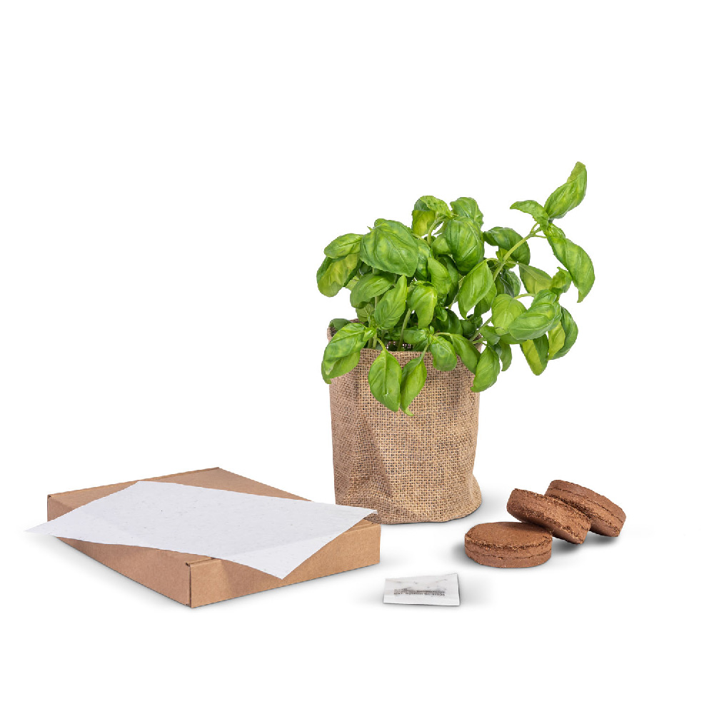 Grow kit by mail | Eco promotional gift